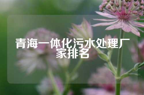 青海一体化污水处理厂家排名