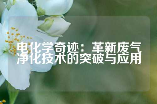 电化学奇迹：革新废气净化技术的突破与应用