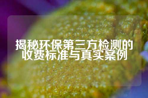 揭秘环保第三方检测的收费标准与真实案例