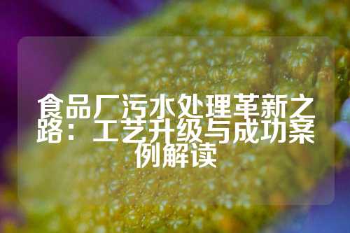 食品厂污水处理革新之路：工艺升级与成功案例解读