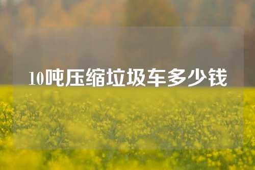 10吨压缩垃圾车多少钱