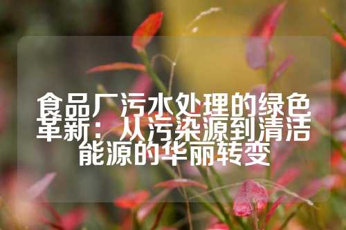 食品厂污水处理的绿色革新：从污染源到清洁能源的华丽转变