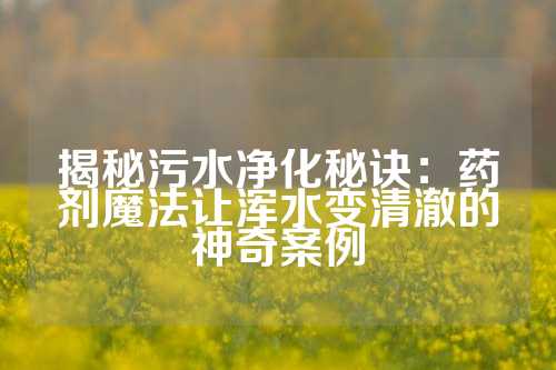 揭秘污水净化秘诀：药剂魔法让浑水变清澈的神奇案例