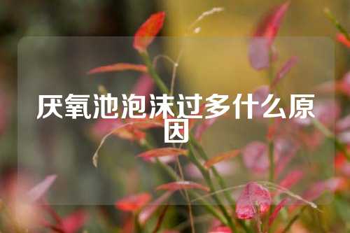 厌氧池泡沫过多什么原因