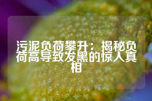 污泥负荷攀升：揭秘负荷高导致发黑的惊人真相