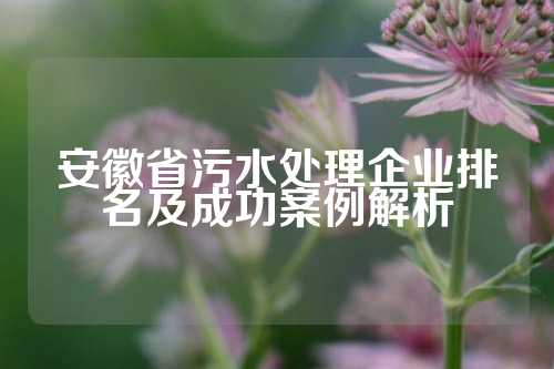 安徽省污水处理企业排名及成功案例解析