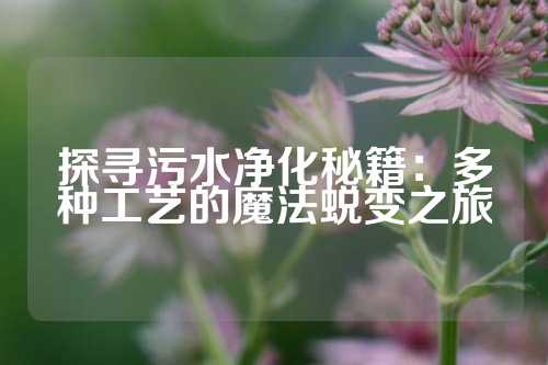 探寻污水净化秘籍：多种工艺的魔法蜕变之旅