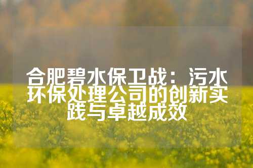 合肥碧水保卫战：污水环保处理公司的创新实践与卓越成效
