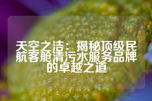 天空之洁：揭秘顶级民航客舱清污水服务品牌的卓越之道