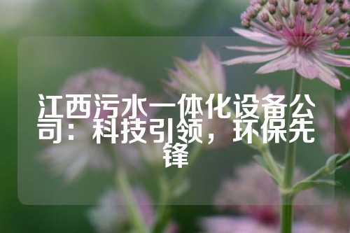 江西污水一体化设备公司：科技引领，环保先锋