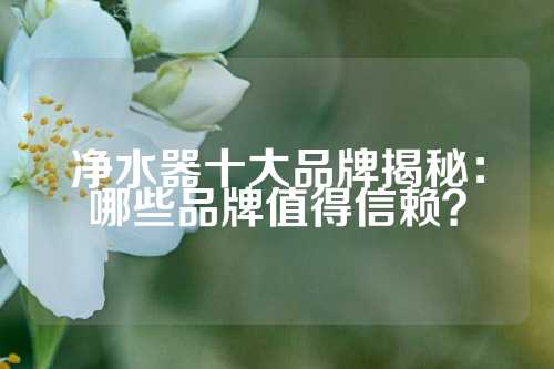 净水器十大品牌揭秘：哪些品牌值得信赖？