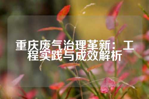 重庆废气治理革新：工程实践与成效解析