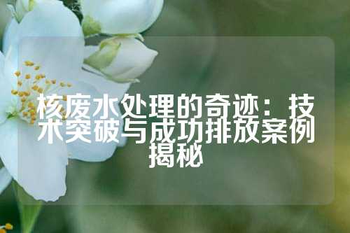 核废水处理的奇迹：技术突破与成功排放案例揭秘