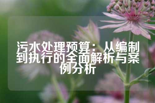 污水处理预算：从编制到执行的全面解析与案例分析