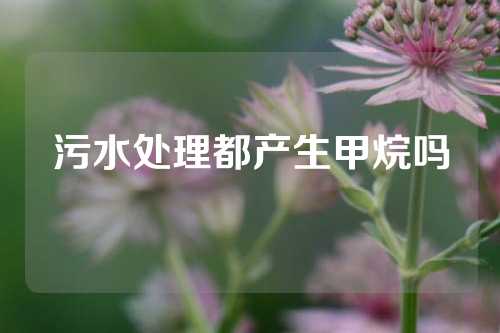 污水处理都产生甲烷吗