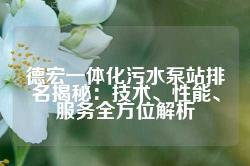 德宏一体化污水泵站排名揭秘：技术、性能、服务全方位解析