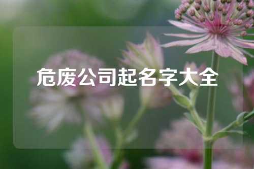 危废公司起名字大全