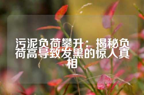 污泥负荷攀升：揭秘负荷高导致发黑的惊人真相