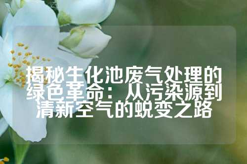 揭秘生化池废气处理的绿色革命：从污染源到清新空气的蜕变之路