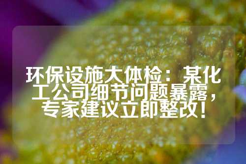 环保设施大体检：某化工公司细节问题暴露，专家建议立即整改！