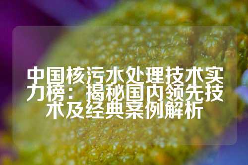 中国核污水处理技术实力榜：揭秘国内领先技术及经典案例解析