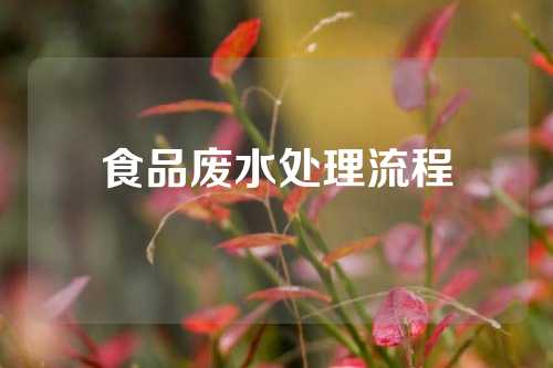 食品废水处理流程