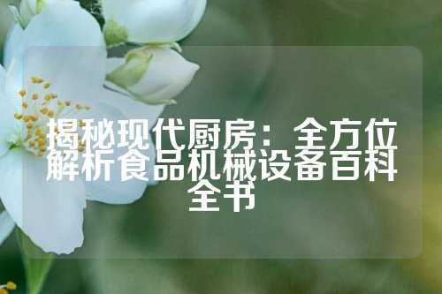 揭秘现代厨房：全方位解析食品机械设备百科全书