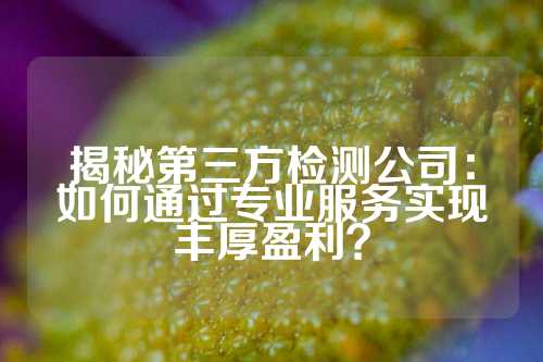 揭秘第三方检测公司：如何通过专业服务实现丰厚盈利？