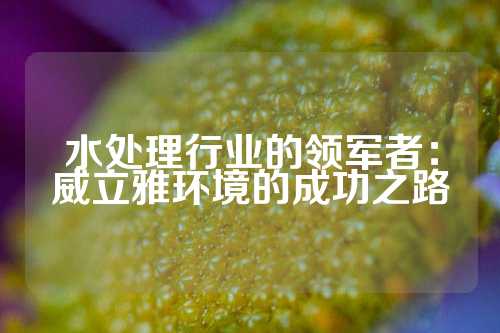 水处理行业的领军者：威立雅环境的成功之路