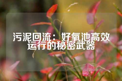 污泥回流：好氧池高效运行的秘密武器