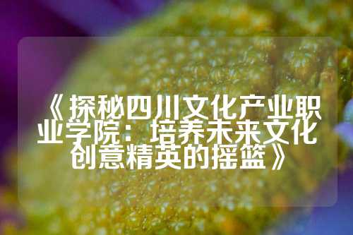 《探秘四川文化产业职业学院：培养未来文化创意精英的摇篮》