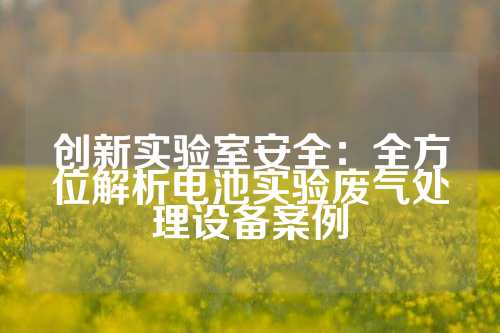 创新实验室安全：全方位解析电池实验废气处理设备案例