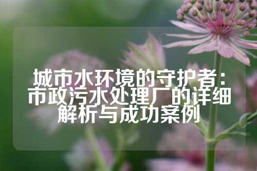 城市水环境的守护者：市政污水处理厂的详细解析与成功案例