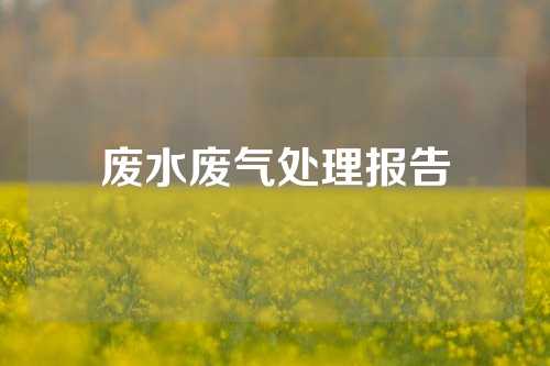 废水废气处理报告