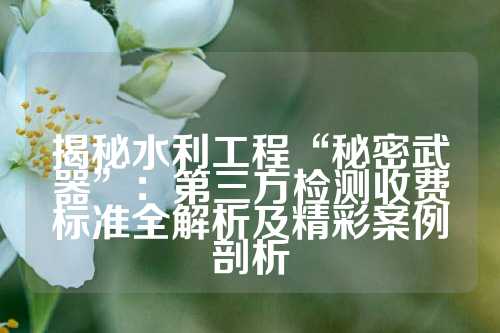 揭秘水利工程“秘密武器”：第三方检测收费标准全解析及精彩案例剖析