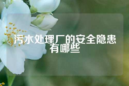 污水处理厂的安全隐患有哪些