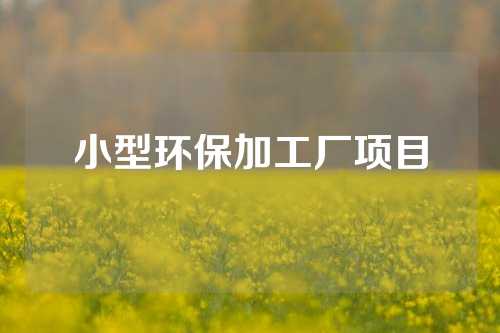 小型环保加工厂项目