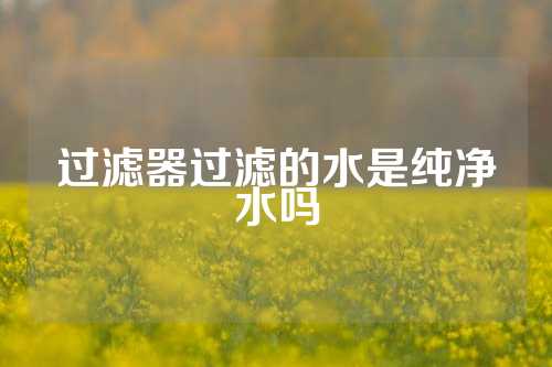 过滤器过滤的水是纯净水吗