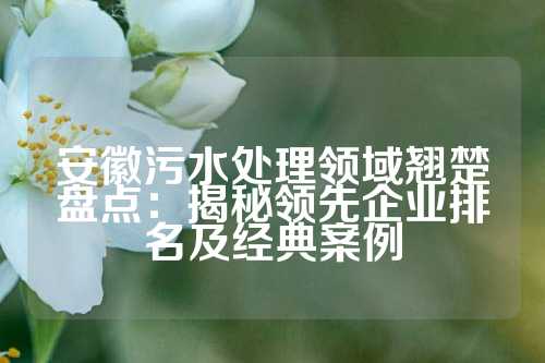 安徽污水处理领域翘楚盘点：揭秘领先企业排名及经典案例