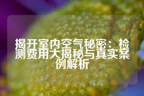 揭开室内空气秘密：检测费用大揭秘与真实案例解析