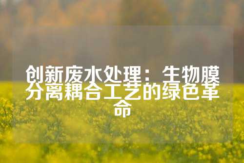 创新废水处理：生物膜分离耦合工艺的绿色革命