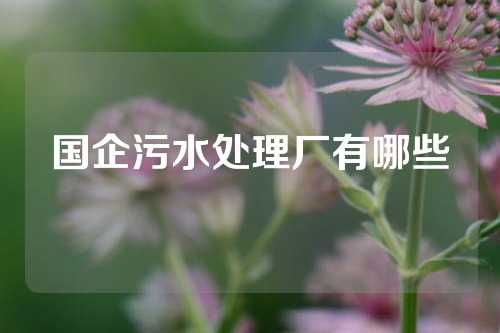 国企污水处理厂有哪些