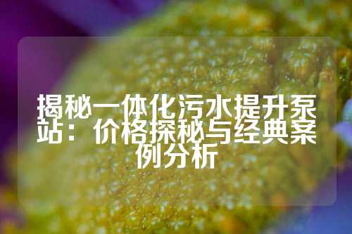 揭秘一体化污水提升泵站：价格探秘与经典案例分析