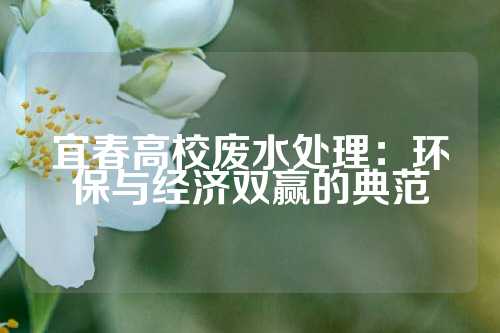 宜春高校废水处理：环保与经济双赢的典范