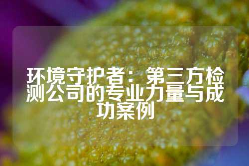环境守护者：第三方检测公司的专业力量与成功案例