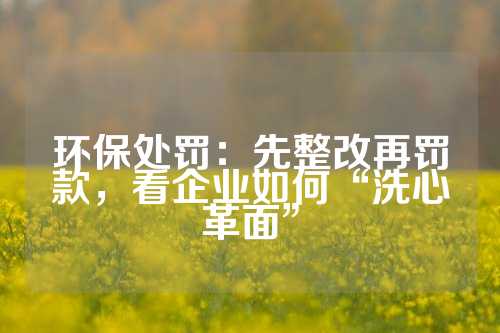 环保处罚：先整改再罚款，看企业如何“洗心革面”