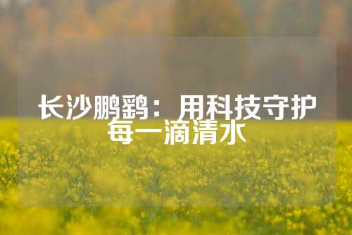 长沙鹏鹞：用科技守护每一滴清水