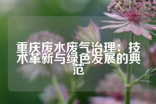 重庆废水废气治理：技术革新与绿色发展的典范