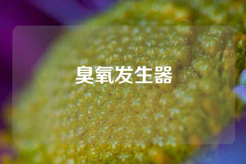 臭氧发生器
