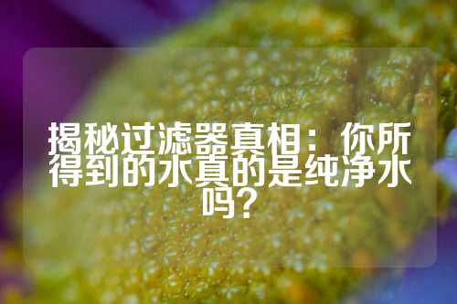 揭秘过滤器真相：你所得到的水真的是纯净水吗？
